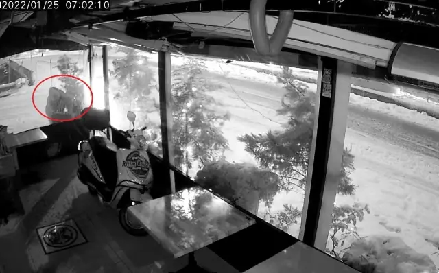 Hırsızlığında bu kadarı! Kapı önündeki paspası dahi çaldılar