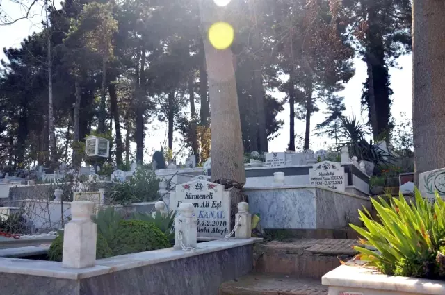 Mezar başında korkuyla dua ediyorlar: Kesilemeyince yarım bırakılan ağaç tehlike oluşturuyor