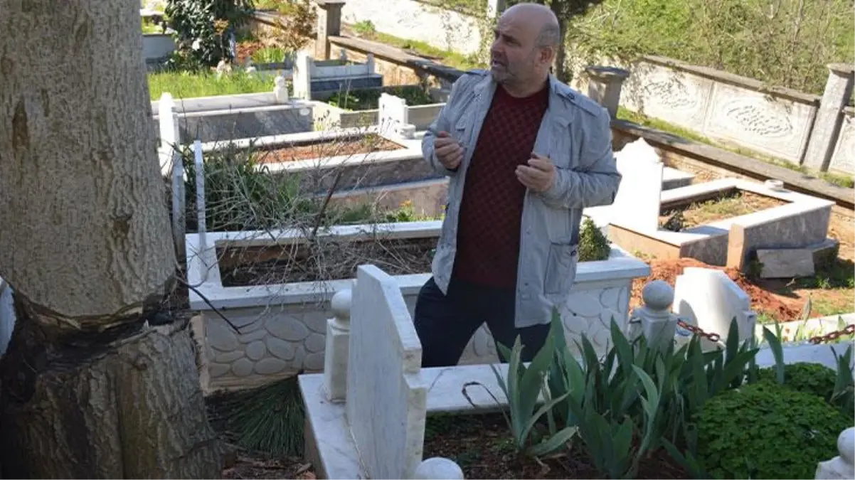 Mezarlıkta baltayla parçalanan ağaç kabusları oldu! Mezar başında korkuyla dua ediyorlar