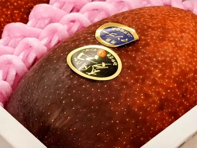 Japonya'da iki mango 58 bin 300 liraya alıcı buldu Japonya'da iki mango 58 bin 300 liraya alıcı buldu