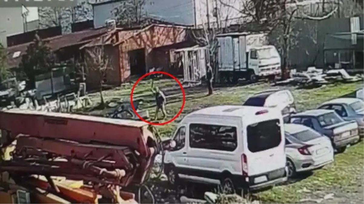 Tavukları kovaladı diye köpeğe sopalarla saldırdılar