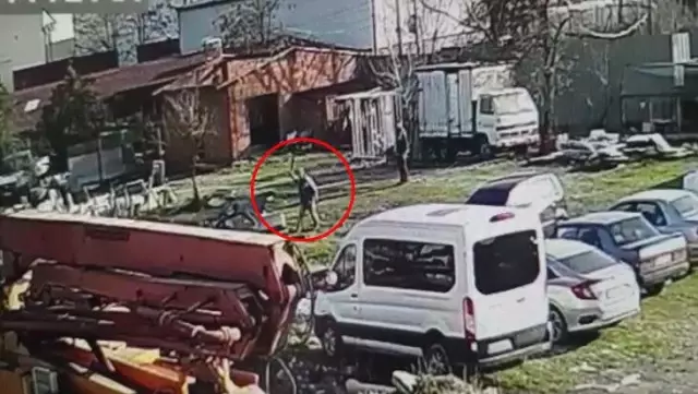 Tavukları kovaladı diye köpeğe sopalarla saldırdılar