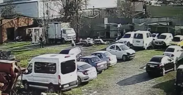 Tavukları kovaladı diye köpeğe sopalarla saldırdılar