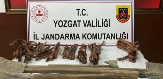 Yozgat'ta kablo hırsızlığı şüphelisi 2 kişi tutuklandı