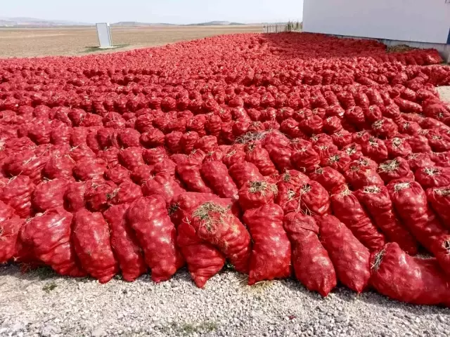 Hal esnafından dert yanan üretici isyan bayrağını çekti: Bizden 50 kuruşa alıp 5 liraya satıyorlar Hal esnafından dert yanan üretici isyan bayrağını çekti: Bizden 50 kuruşa alıp 5 liraya satıyorlar