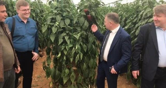 Rusya, Türkiye'den 5 ürünün ithalatına yönelik kısıtlamaları kaldırdı