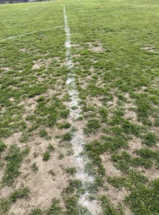 Türk futbolunun utanç kareleri! Başakşehir maçından gelen fotoğraflar pes dedirtti Türk futbolunun utanç kareleri! Başakşehir maçından gelen fotoğraflar pes dedirtti