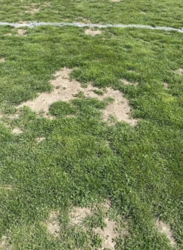 Türk futbolunun utanç kareleri! Başakşehir maçından gelen fotoğraflar pes dedirtti Türk futbolunun utanç kareleri! Başakşehir maçından gelen fotoğraflar pes dedirtti