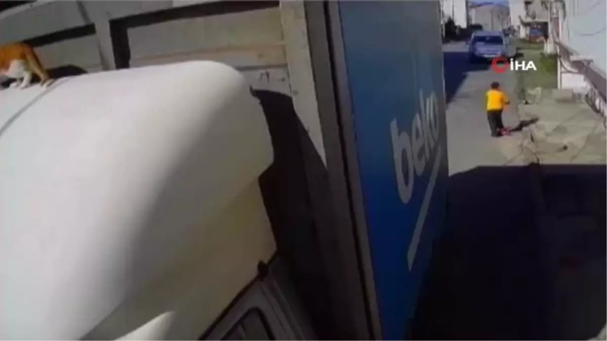 Balkondan kamyonetin üstüne atlayarak kaybolan yaramaz yavru kedi, 2 gün sonra bulundu...Evden kaçan yaramaz kedi kamerada