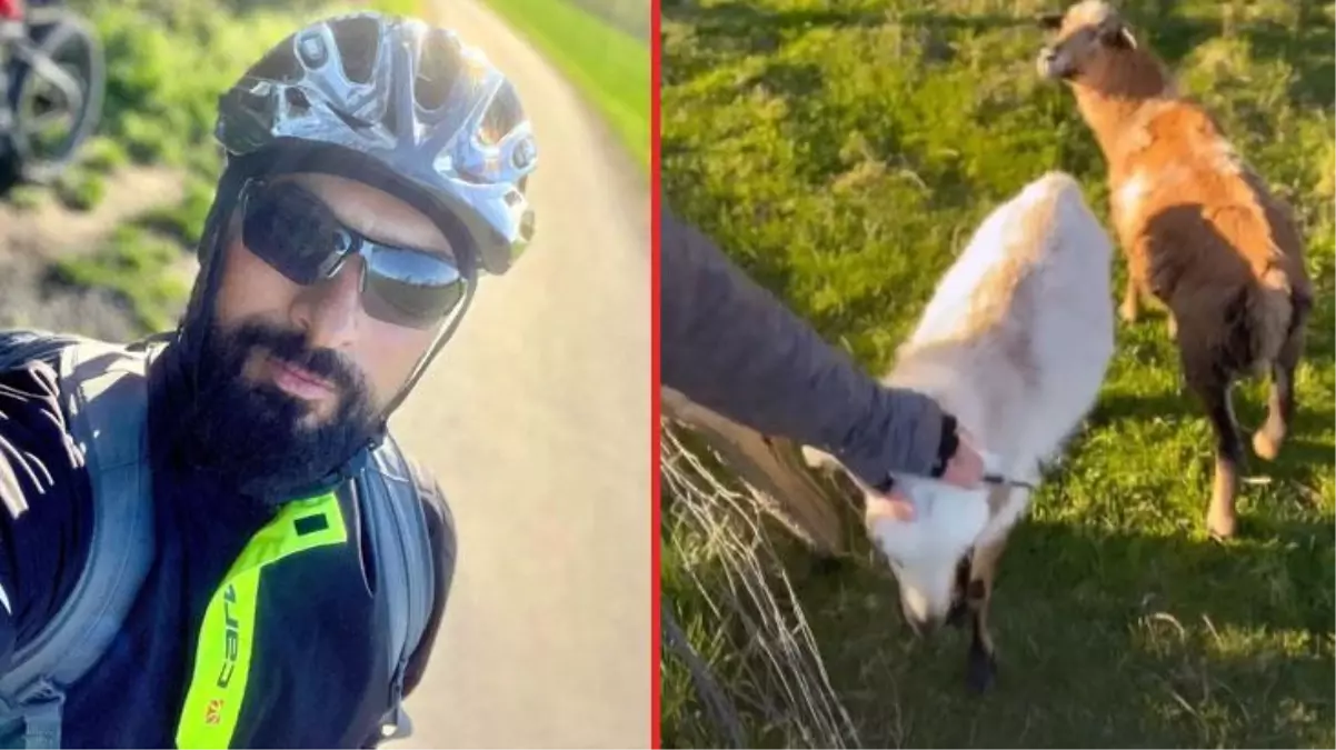 Megastar Tarkan, keçi yavrularını meleyerek çağırdığı anları paylaştı