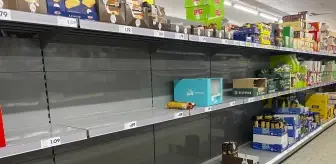 Almanya'da raflar boşaldı! Savaş yüzünden un ve ayçiçeği yağına ulaşmak neredeyse imkansız
