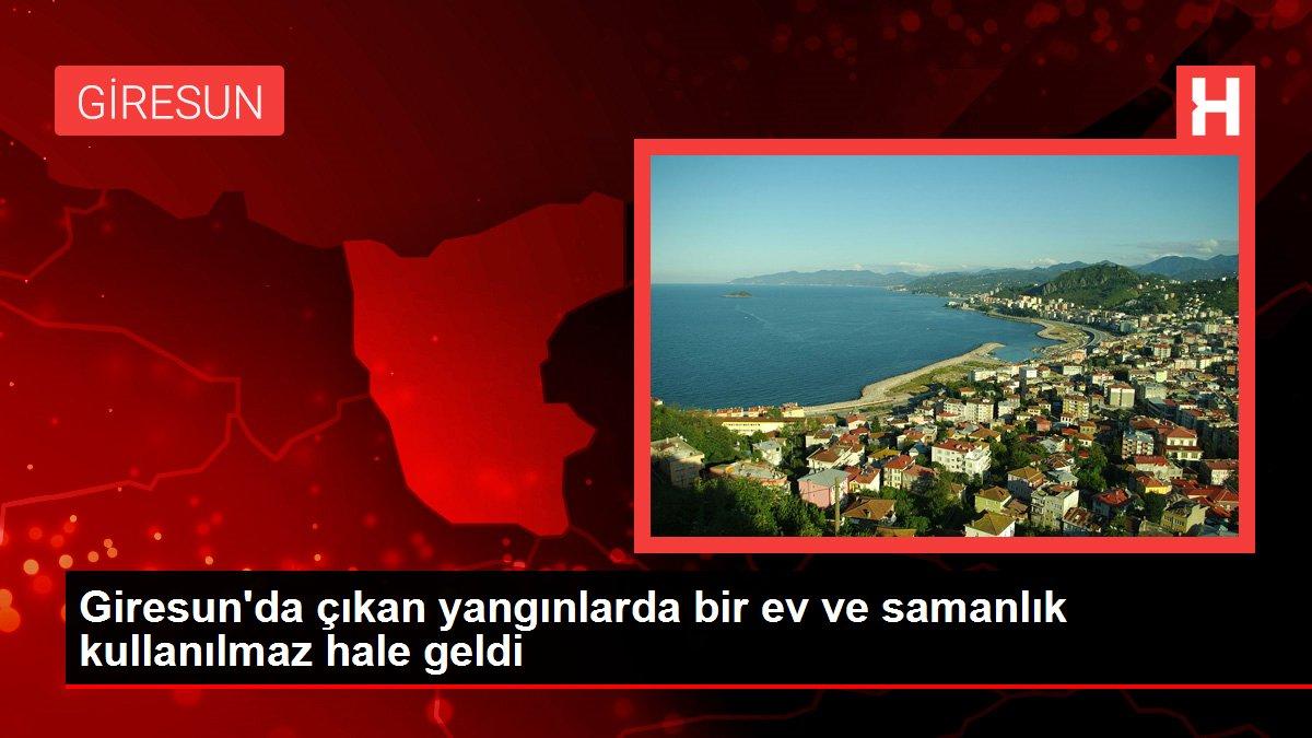 Giresun'da çıkan yangınlarda bir ev ve samanlık kullanılmaz hale geldi