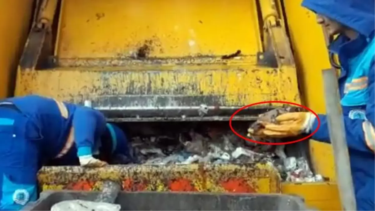 Tuzla Belediye Başkanı Şadi Yazıcı, çöpe atılan yavru kedilerin kurtarıldığı anları paylaştı