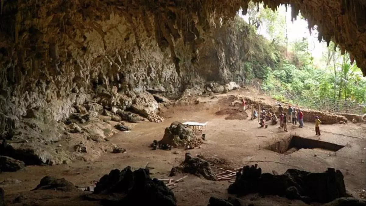 Esrarengiz kazıda kemikleri bulunmuştu! Ünlü bilim insanı 'Hobitlerin' yerini söyledi: Adada gizleniyorlar