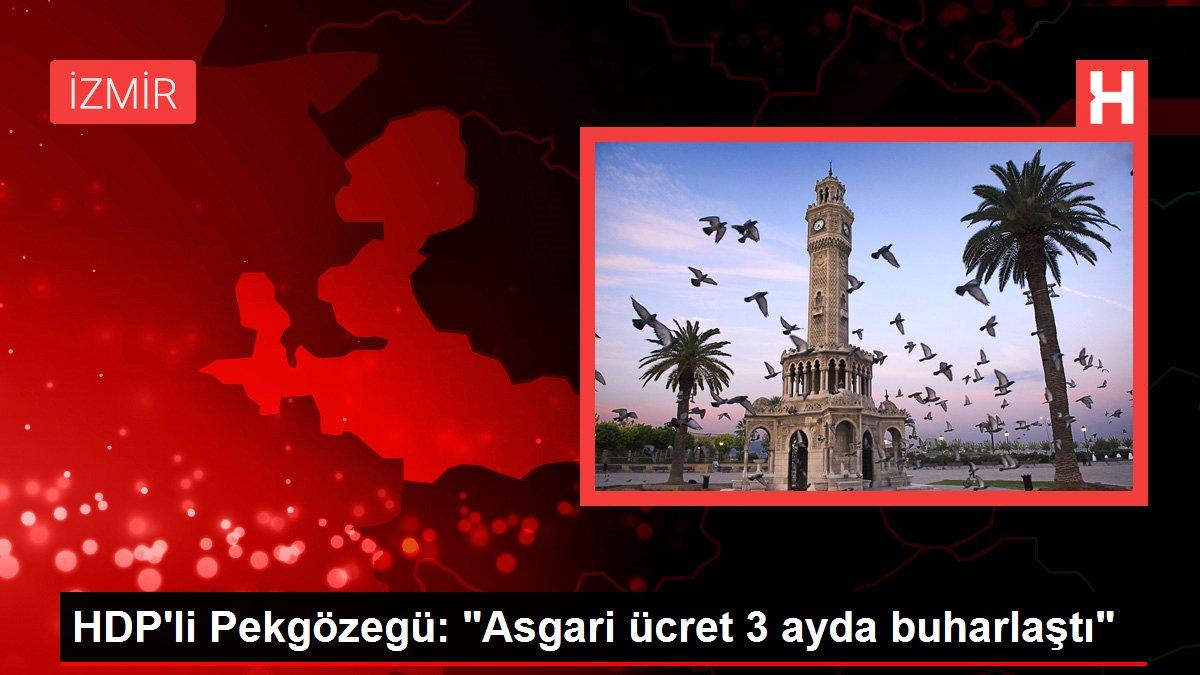 HDP'li Pekgözegü: 'Asgari ücret 3 ayda buharlaştı'