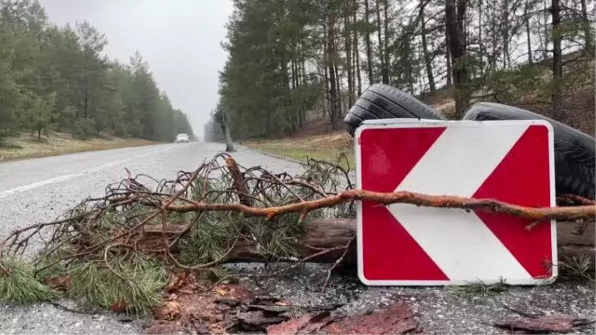 Rus güçlerinin çekildiği bölgelerde mayın temizleme çalışmaları