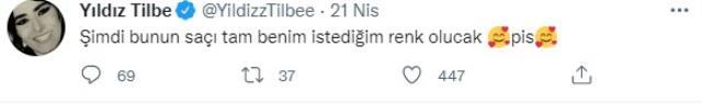 Daha önce 'Saldırgan köpekleri zehirleyin' diyen Yıldız Tilbe, bu sefer de kedisinin tüylerine kına yaktı