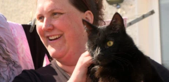 Beş yıl önce kaybolan kedi Kuzey Denizi'nde ortaya çıktı