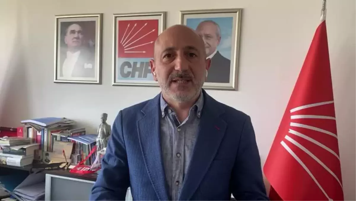 Danıştay, Zeytinlik Alanları Madenciliğe Açan Yönetmelik Değişikliğinin Yürütmesini Durdurdu