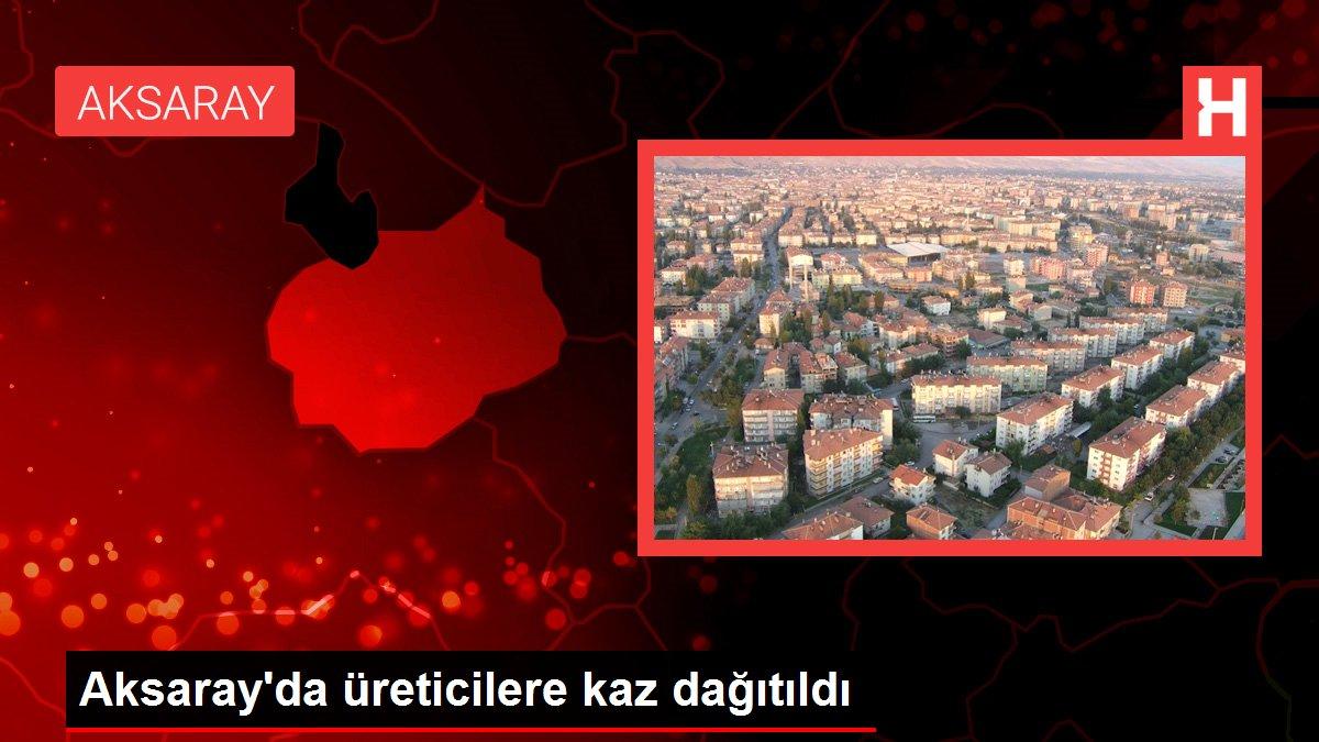 Aksaray'da üreticilere kaz dağıtıldı