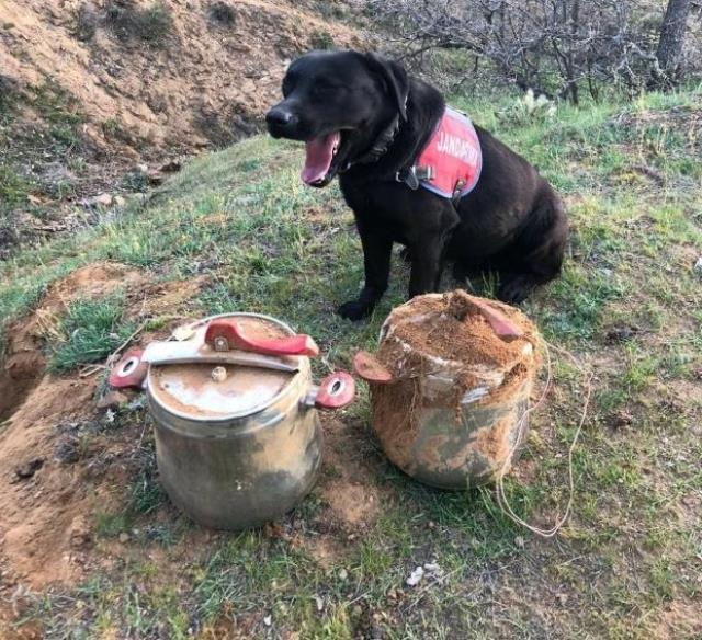Bingöl'de 2 düdüklü tencerede 40 kilogram el yapımı patlayıcı bulundu Bingöl'de 2 düdüklü tencerede 40 kilogram el yapımı patlayıcı bulundu