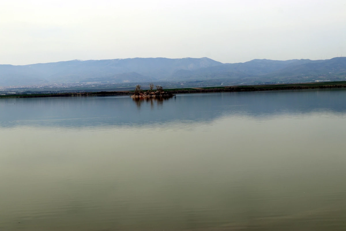 Geçen yıl kuraklıktan etkilenen Amasya'da barajlar doldu