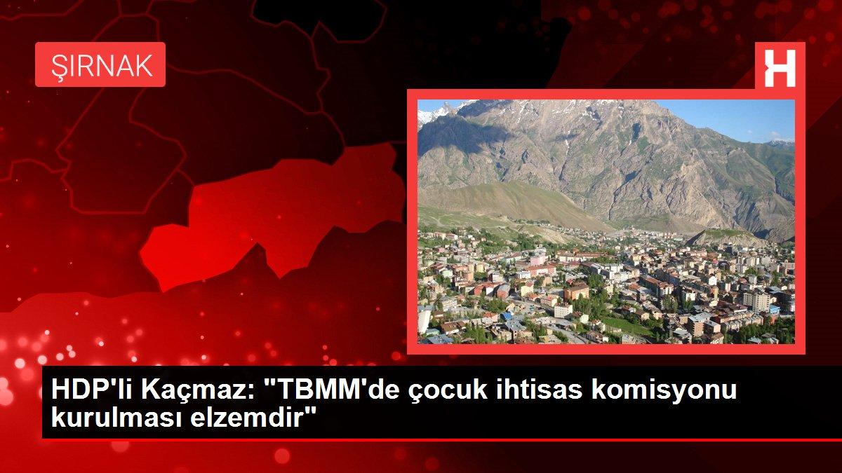 HDP'li Kaçmaz: 'TBMM'de çocuk ihtisas komisyonu kurulması elzemdir'