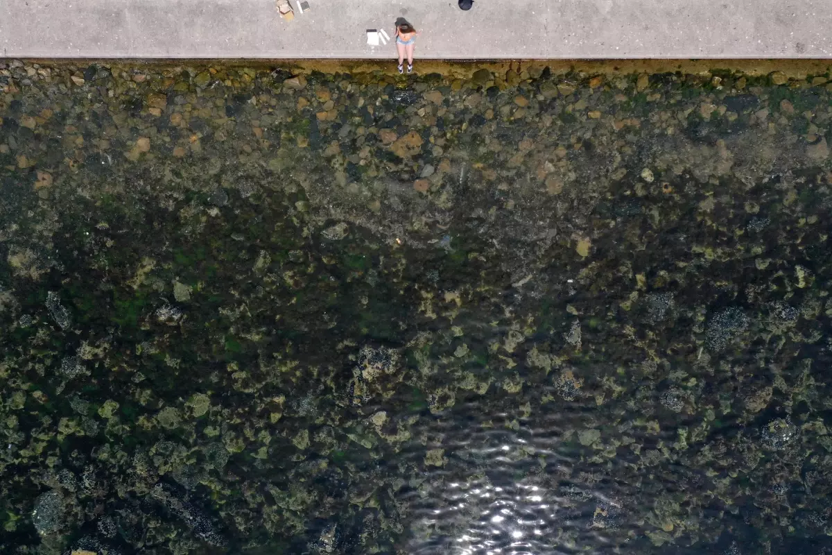 İstanbul'da bazı sahillerde müsilaj benzeri kirlilik görüldü