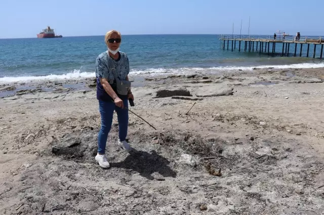 Koparmanın cezası 120 bin TL olan kum zambaklarını koparıp yaktılar Koparmanın cezası 120 bin TL olan kum zambaklarını koparıp yaktılar