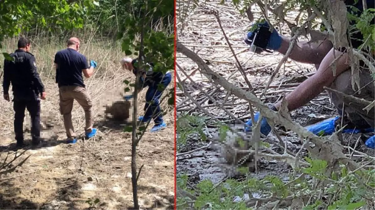 Ormanda odun toplayan işçiler nehrin kıyısında insan kemikleri ve kafatası buldu