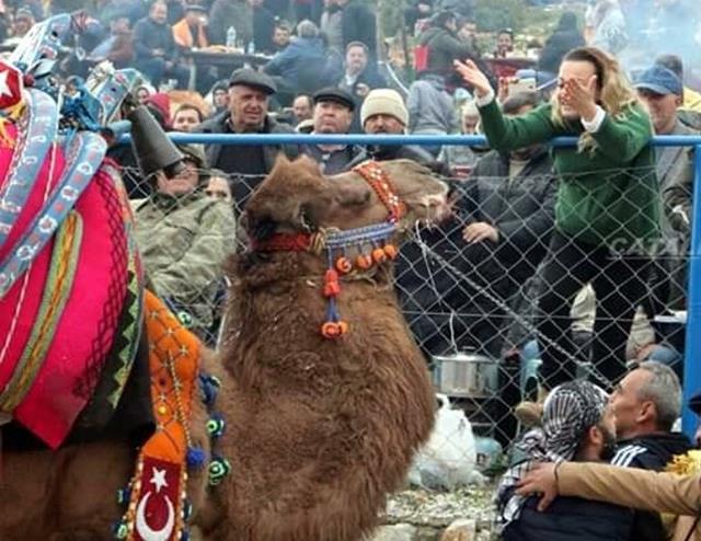 Bodrum'da kar payı vaadiyle dolandırıcılık olayında 1 tutuklama Bodrum'da kar payı vaadiyle dolandırıcılık olayında 1 tutuklama