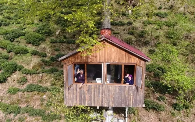 Gören hayran kalıyor! Hayalini kurdukları ağaç eve 30 yıl sonra kavuştular Gören hayran kalıyor! Hayalini kurdukları ağaç eve 30 yıl sonra kavuştular