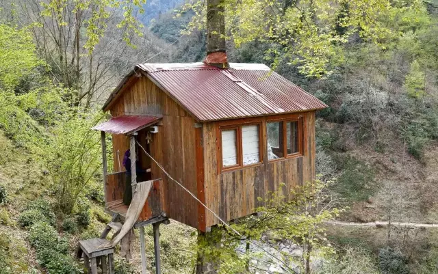 Gören hayran kalıyor! Hayalini kurdukları ağaç eve 30 yıl sonra kavuştular Gören hayran kalıyor! Hayalini kurdukları ağaç eve 30 yıl sonra kavuştular