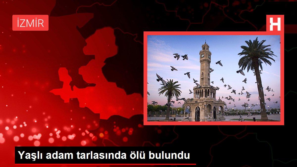 Yaşlı adam tarlasında ölü bulundu