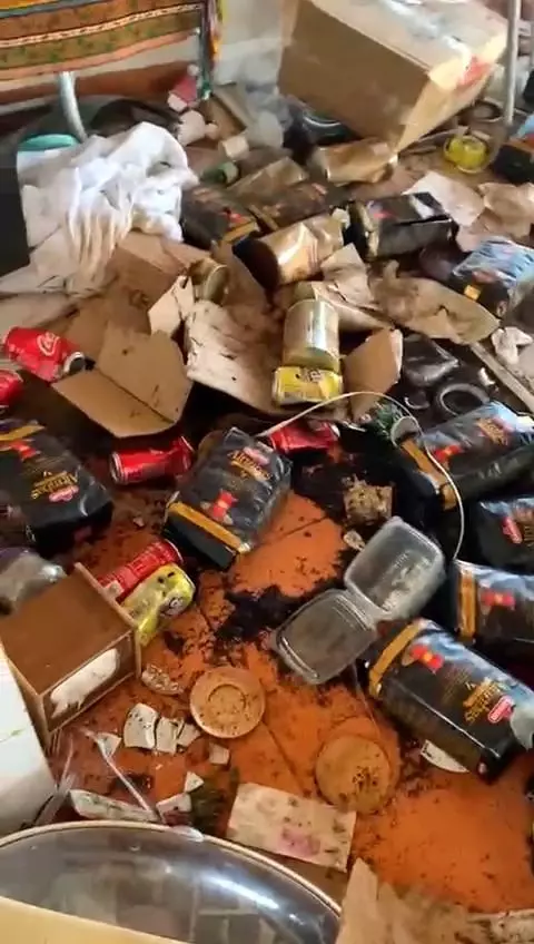 Aç kalan ayılar yayladaki işletmenin altını üstüne getirdi