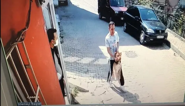 Son Dakika | İstanbul'da korku dolu pitbull saldırısı kamerada: Köpeğini parka götüren kadın dehşeti yaşadı Son Dakika | İstanbul'da korku dolu pitbull saldırısı kamerada: Köpeğini parka götüren kadın dehşeti yaşadı