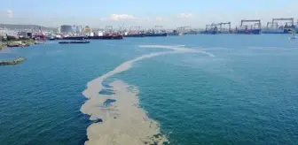 Marmara Denizi'nde müsilaj bulgusuna rastlanmadı