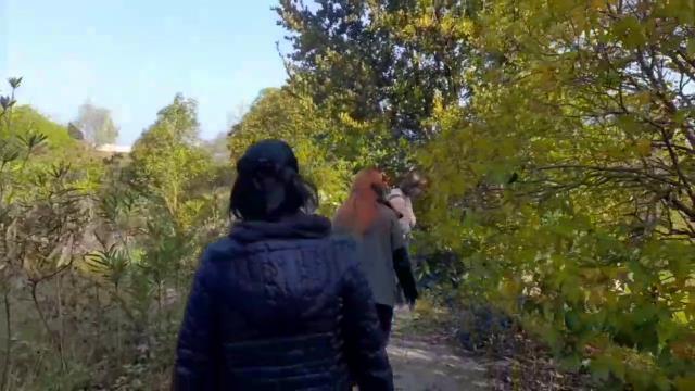 Eski otelin havuzu ölüm tuzağına dönüştü! Havlama seslerine gidenler, suya gömülmüş halde hayvan ölüleri buldu Eski otelin havuzu ölüm tuzağına dönüştü! Havlama seslerine gidenler, suya gömülmüş halde hayvan ölüleri buldu