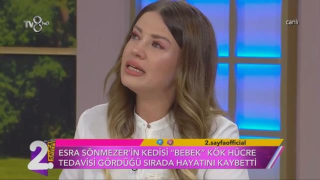 Tedavisi için 1,5 milyon TL harcadığı kedisinin ölüm haberiyle yıkılan Esra Sönmezer, canlı yayında gözyaşlarına boğuldu Tedavisi için 1,5 milyon TL harcadığı kedisinin ölüm haberiyle yıkılan Esra Sönmezer, canlı yayında gözyaşlarına boğuldu