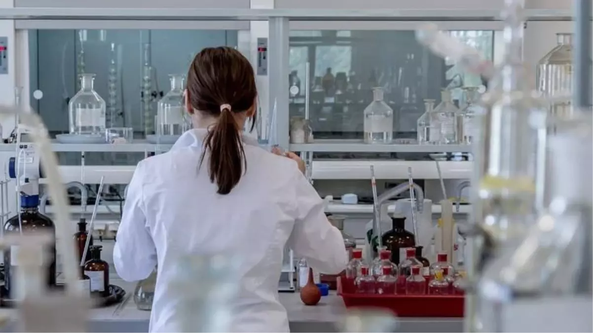 Çalışmalar sonuç verdi! Yeni yöntemle birlikte yapay gıdalara bir adım daha yaklaşıldı