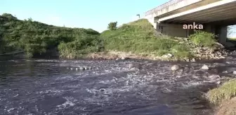CHP Tekirdağ Milletvekili Aygun, Siyah Akan Ergene'nin Kenarına Giderek Açıkladı: 'Ne Marmara Kurtuldu Ne Ergene Kurtuldu'
