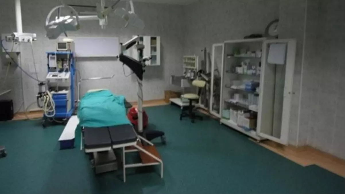 Doğduğu veterinerdeki odaya kimse alınmıyor! Kıyamet alameti olarak görülüyor, sakallı ejder panik yarattı