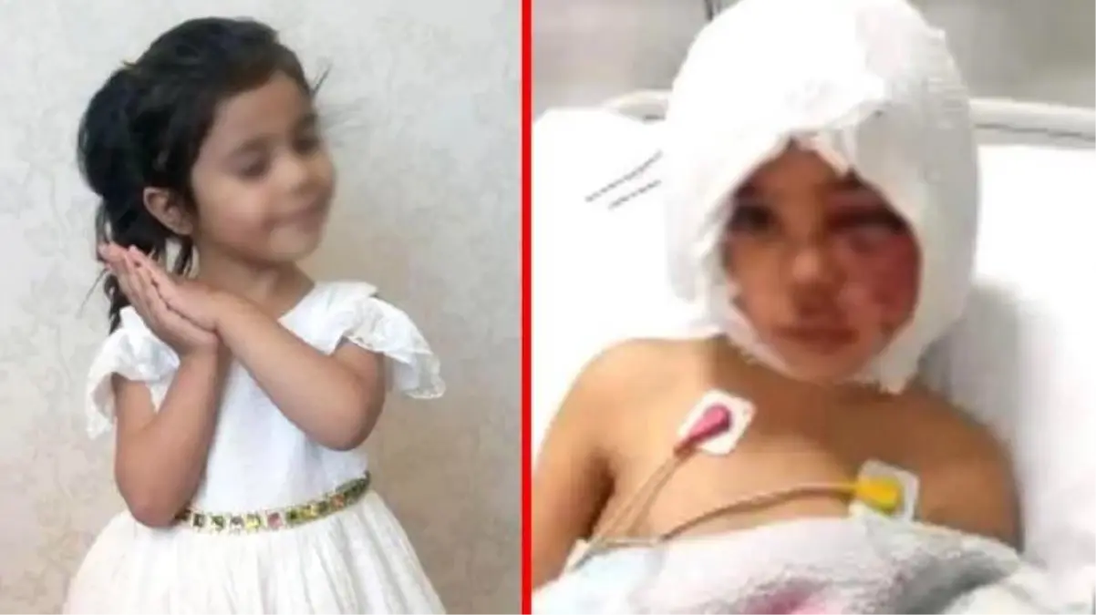 Minik Asiye'ye pitbull saldırısında tahliye edilen 3 sanık tekrar tutuklandı