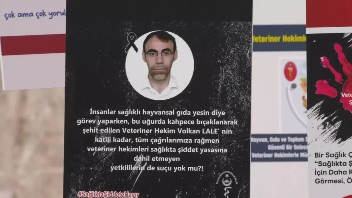 'Veteriner Hekimlerin Bir An Önce Sağlıkta Şiddet Uygulaması Kapsamına Alınmasını Zaruri Görüyoruz'