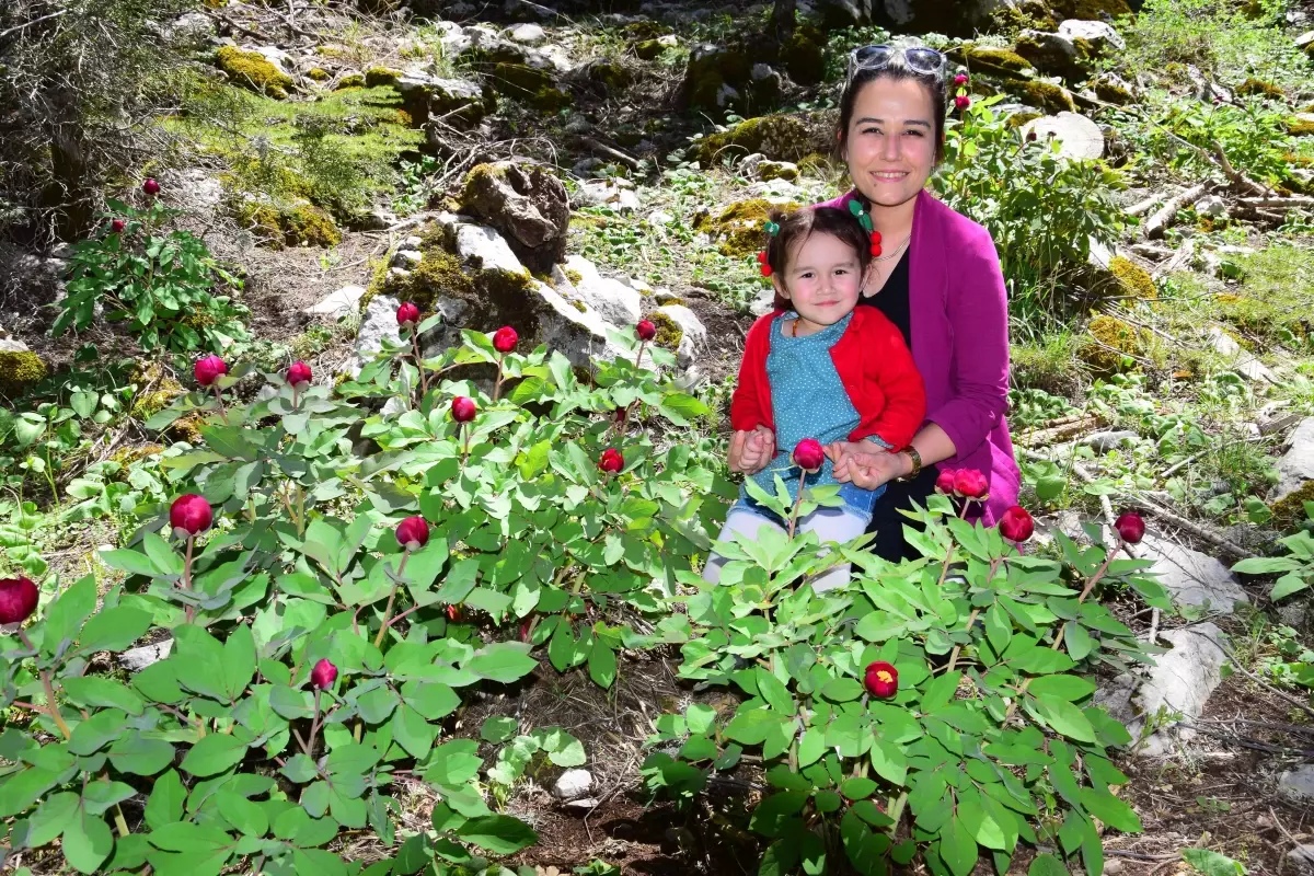 Yılda 10 gün açıyor! Güzelliğine aldanıp koparan 109 bin lira ceza öder