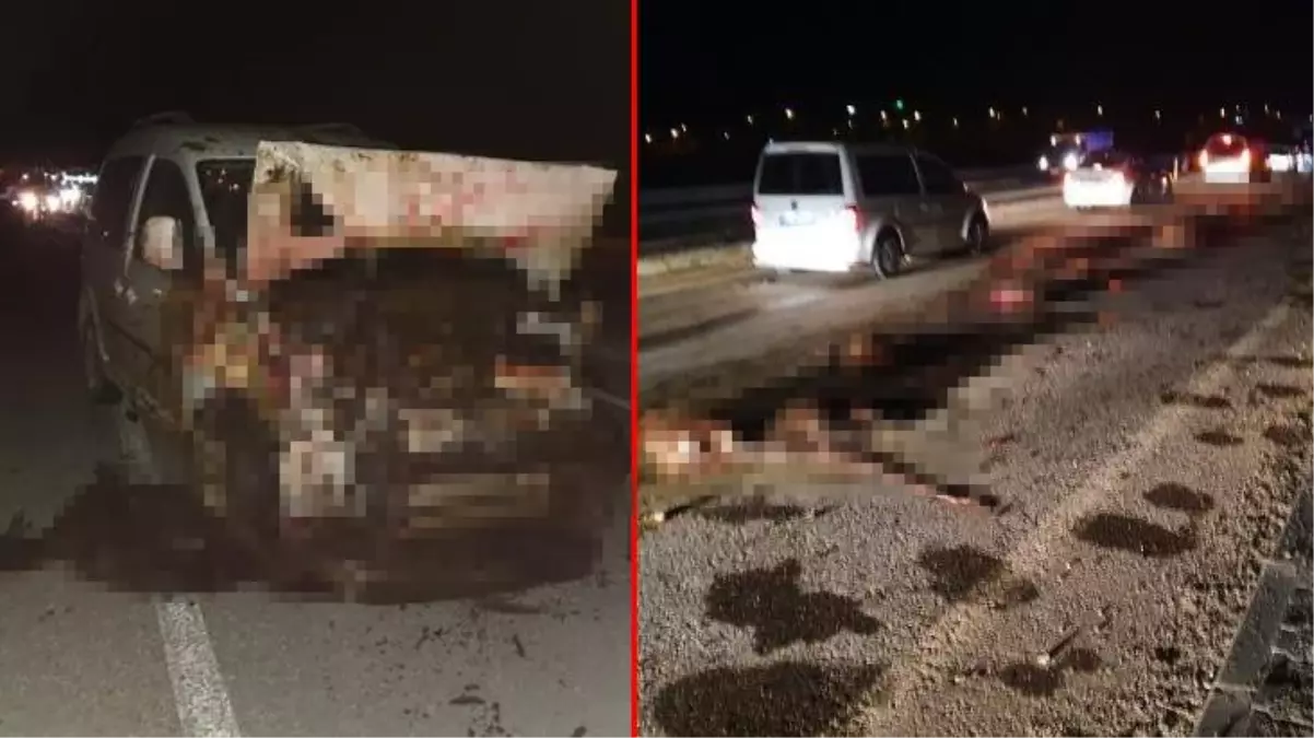 Hafif ticari araç sürüye çarptı! 6 kişi yaralandı, 50 küçükbaş hayvan telef oldu