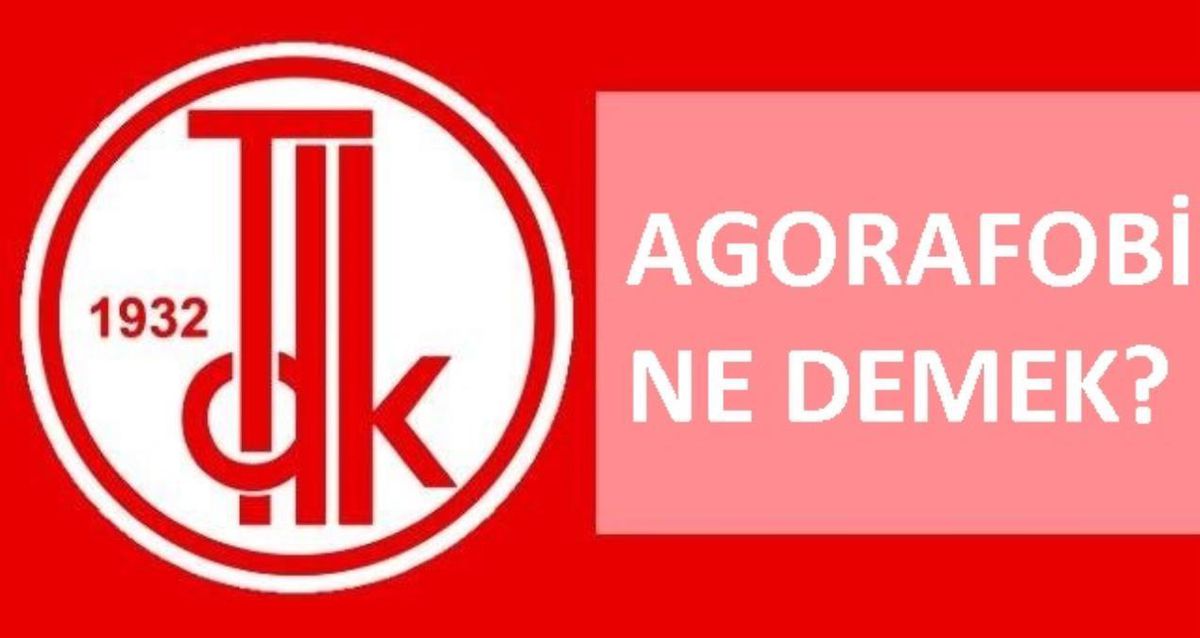 Agorafobi nedir, ne demek? TDK'ya göre agorafobi nedir, ne demek? Agorafobi ne anlama geliyor?
