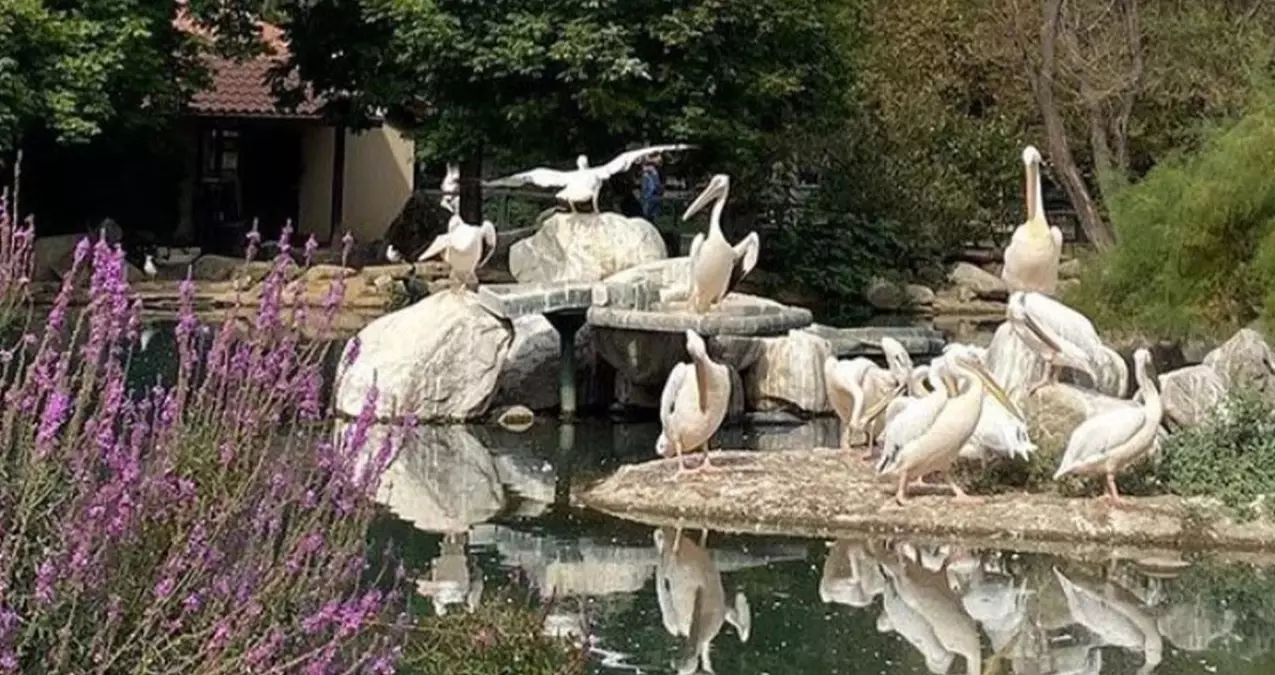 Bursa Hayvanat Bahçesi bayramda açık mı 2022? Bursa Hayvanat Bahçesi açık mı, giriş var mı?