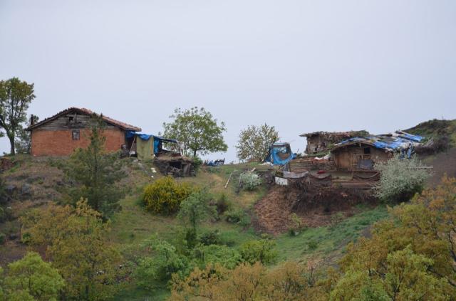 Koyunların meleme sesi kesilince ağıla gitti, korkunç manzarayla karşılaştı