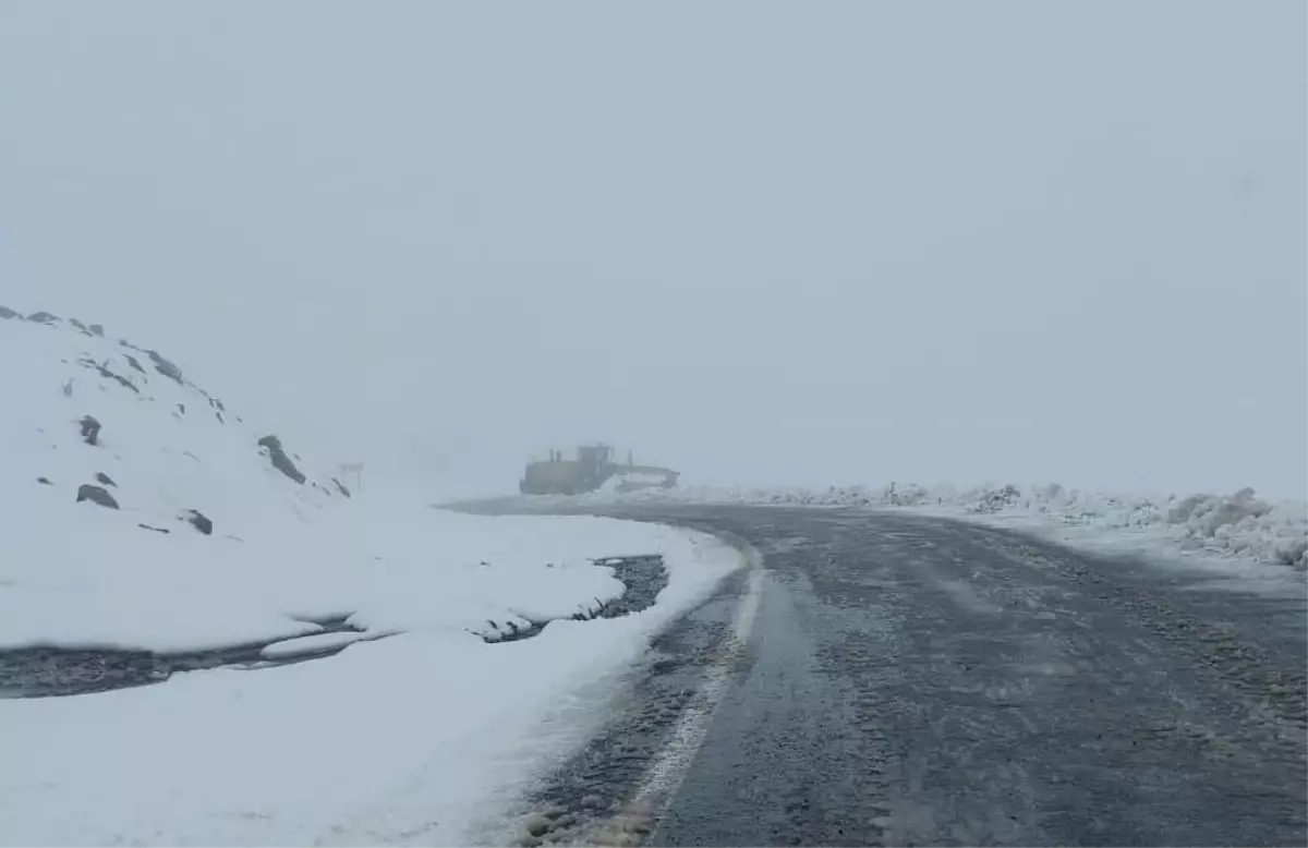 Artvin'in yüksek kesimlerinde kar etkili oldu
